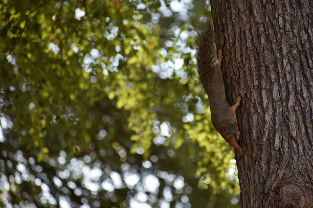 正式退出，早田希娜宣布意外决定，日本乒协批准.
